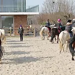 Samen Aan Zee *